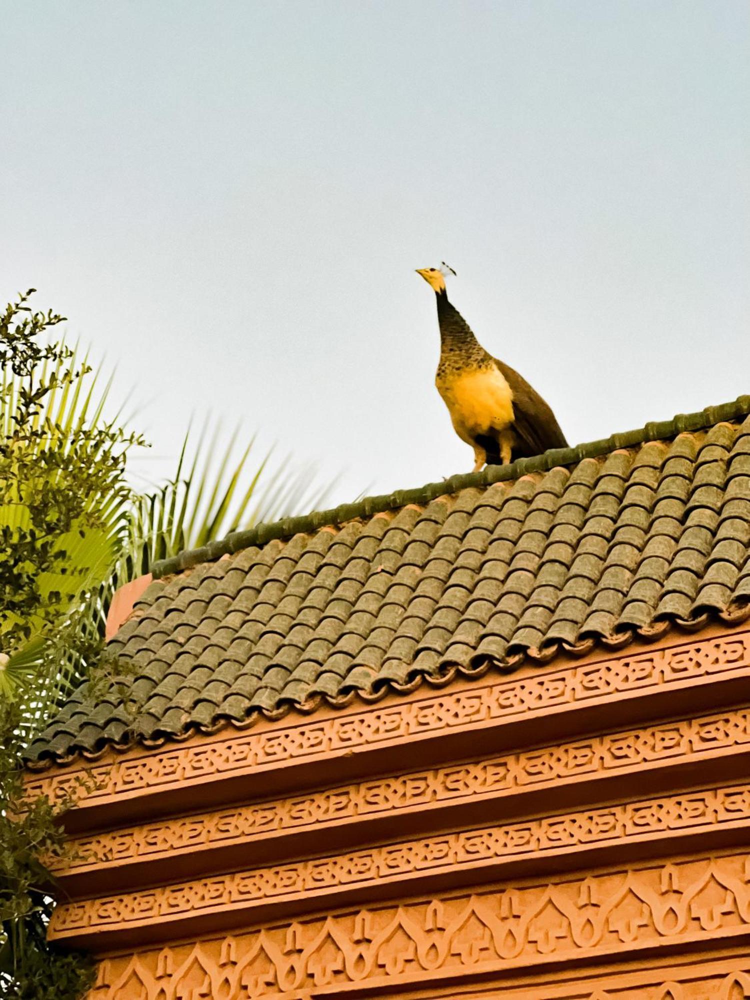 Guest House Qodwa Sidi Abdallah Ghiat Экстерьер фото